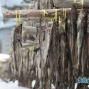 신성상회 이미지