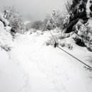 중산리(탁영뢰) 이미지