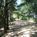 용장1리 이미지