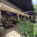 [치앙마이/맛집] 님만해민 현지인 로컬 맛집 추천! 소 굿 타이(So Good Thai Restaurant) 후기