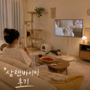 와이드뷰 | 와이드무빙뷰 화이트에디션 삼탠바이미V3 후기