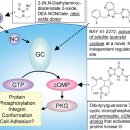 Re: no 치료제 탐구... 유기 질산염 organic nitrates. 이미지