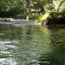 황금알 농장 이미지