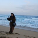 정동진역 이미지