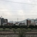 김양식한의원 이미지