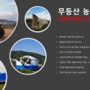 무등산 농원 이미지