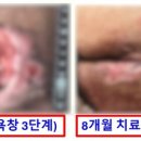 돋움미디어