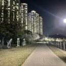 경대교 주변 이미지