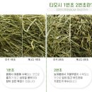 채릇채릇 | [채릇채릇 건초] 티모시 1번초 2번초 후기