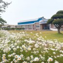 주산초등학교 이미지