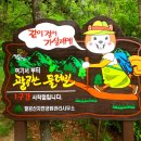 팔공산 둘레길 1구간 이미지