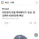 비만관리 모델 계약했다가 &#39;요요&#39; 온 김태우 6500만원 배상 이미지