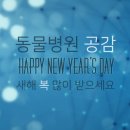 갑을동물병원 이미지