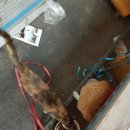 출근길 스타벅스 이미지