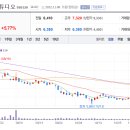 윌트레이딩 이미지