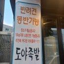 도야족발 길동점 | 강동애견동반식당 도야족발 길동점