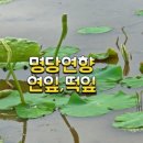 연향농장 이미지