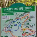 서귀포자연휴양림[동] 네이버블로그