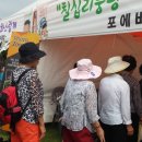 관광포토존 이미지