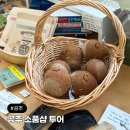 비의독립상점 | 충남 공주 제민천 소품샵 투어 : 가가상점 단편선 비마이네이버