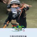 [지족마을]죽방렴고기잡이