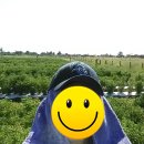 개미농장 2농장 이미지