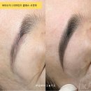 펄미에이트 이미지