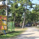 청포대휴야영장 이미지