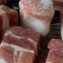 신청춘식당 이미지