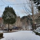 애슐리퀸즈 켄싱턴가평점 이미지