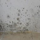 힐스테이트푸르지오아파트 이미지