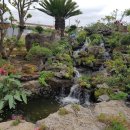 제주노른자부동산중개 이미지