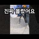 공유전동킥보드 무지성 무단주차 참교육 하는법 이미지