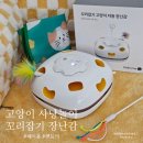 사락천 | 꼬리잡기 고양이 자동 장난감 헤이홈 펫토이 사냥놀이 추천