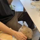 온어스(ONUS) 이미지