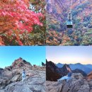 권금성화장실 | 강원도 속초 가볼만한곳 설악산 케이블카 국립공원 가을 단풍 구경 권금성