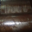 우성수리 이미지