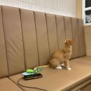 (주)지구약품 이미지