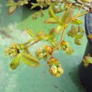 (주)이소 이미지