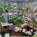 꽃이필무렵 이미지