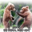 동일기원
