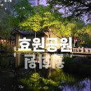 커피에반하다영남점 | 30대, 결국 수원 야경 명소 효원공원 밤 산책에 반했어요