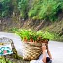 원빈농장 이미지