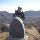 가월가물치 이미지