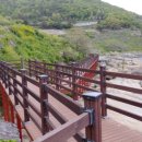 모사금해수욕장 이미지