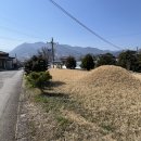 단양경찰서 대강파출소 | 여순사건전조-구례파도리3·1발포사건