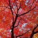 맑은바람 - 1030 | 맑은바람