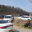 백사중학교 | 이천 산수유마을 축제 재방문 후기 | 4월 산수유꽃 만개 실시간 상태