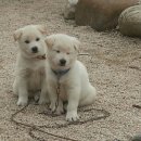별마실
