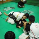 혜성태권도체육관 이미지